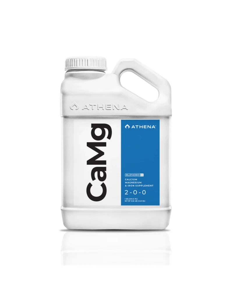 CaMg Gallon